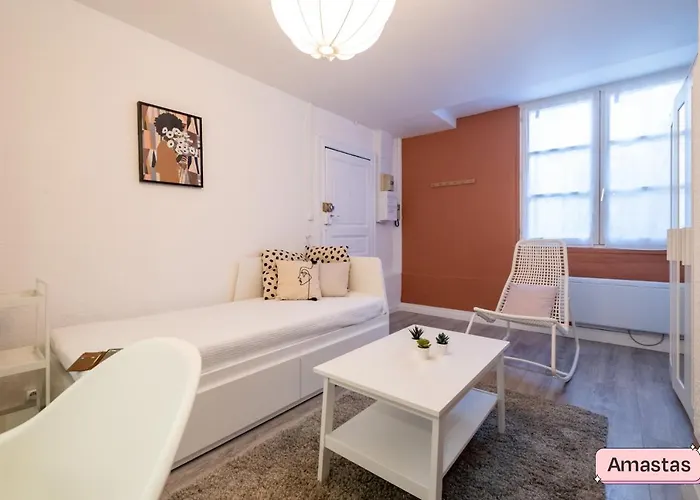 Apartament Cosy Studio In Central Toulouse Tuluza