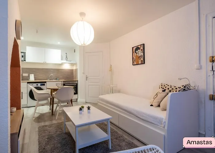 Cosy Studio In Central Toulouse
